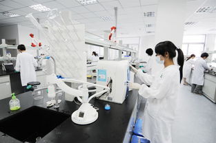 第三方檢測機(jī)構(gòu)資質(zhì)認(rèn)證新規(guī)解讀 最新《意見稿》要點(diǎn)與技術(shù)咨詢指引